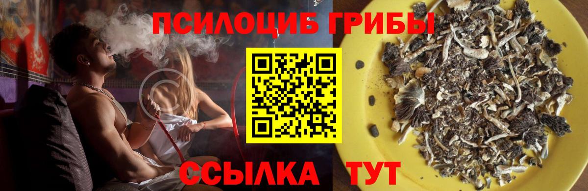 Галлюциногенные грибы ЛСД  Вход с VPN  Чусовой 